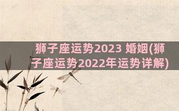 狮子座运势2023 婚姻(狮子座运势2022年运势详解)